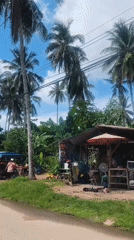 Tropical residential streets and palm trees in Baan Lamai