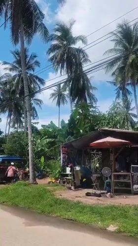 Tropical residential streets and palm trees in Baan Lamai