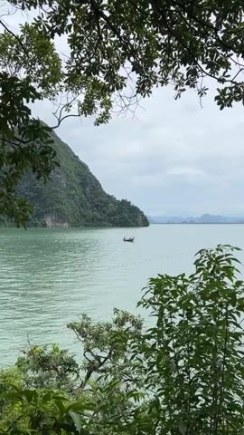 A slow pan shot reveals a body of water with a distant, verdant, mountainous island on the left. In the middle ground, a small, narrow boat with an extended front and back floats on the water. A series of buoys on short ropes are visible in the water between the boat and the foreground. In the foreground, the leaves of green trees and branches frame the scene. On the right side of the frame, a tall, jagged rock formation, also covered in vegetation, rises from the water. The sky is overcast with gray clouds.