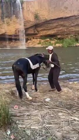 The video shows a man mounting a black and white horse near a waterfall. He's wearing black clothing and a white baseball cap. The horse has a white saddle pad with black trim. Another man on a brown horse is standing nearby. The background features a rock face and flowing water.
