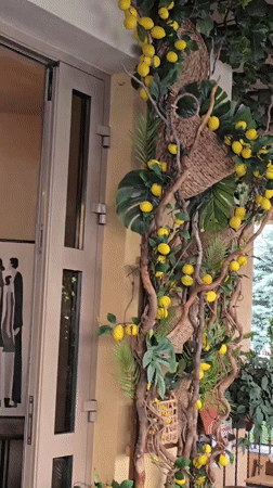 Garden and nature details from a suburban Ukrainian property