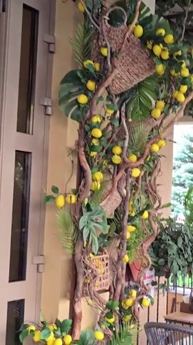 Garden and nature details from a suburban Ukrainian property