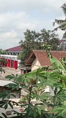 A person is walking near a building with red doors and a white awning. The building is in a rural area with trees and houses. The sky is cloudy.