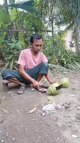 A man squats outdoors on dirt and rocks, wearing a pink t-shirt and dark pants, and sandals. He holds a large knife and is cutting into a green coconut. Another green coconut rests nearby. The background is filled with lush green foliage and trees, suggesting a tropical or rural setting. He appears to be preparing the coconut, likely for consumption.