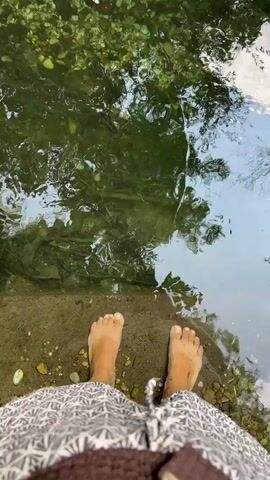 A first-person perspective video shows a person standing with their bare feet on the edge of a shallow, clear stream. The stream bed is visible with rocks and aquatic plants. The person is wearing patterned shorts. The video pans up to show the water reflecting trees and greenery from the surrounding environment. The water appears calm with some ripples and a patch of white foam near the center.