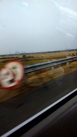 The video shows a blurry, first-person perspective of a train moving along a track. The camera is positioned at a high angle, looking down and slightly forward. Outside the window, a flat, rural landscape of fields and trees can be seen. A set of train tracks runs parallel to the direction of travel, with occasional distant lights visible along the side of the tracks. A red and white object, possibly a traffic sign or a piece of equipment, is partially visible in the foreground and is blurred due to motion. The sky appears overcast and the overall lighting is dim. The motion of the train is evident through the blur of the scenery and the slight vibration of the camera.