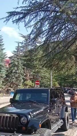 A black Jeep Rubicon is parked in the foreground. A man in a brown shirt and blue jeans walks past the vehicle. To the right of the man is a bridge with a decorative railing. Beyond the bridge, a street is visible with cars parked along it. In the background, there are trees, some of which are tall and coniferous. The sky is blue and the sun is shining brightly. The scene appears to be a park or a scenic area.