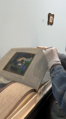Art viewing session documented in Tbilisi gallery space