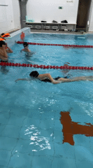 Swimming lessons and practice sessions held in Birobidzhan pool