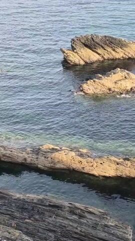 The video shows a coastline with rocky formations jutting out into the clear blue water. The rocks appear to be a mix of lighter, yellowish-brown stone and darker, layered rock. Sunlight reflects off the water, creating ripples and highlighting the transparency of the shallow areas where the seabed is visible. There are no people or man-made objects visible in the frame. The environment is natural and serene, with the gentle movement of the water against the rocks.