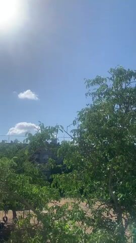The video shows an outdoor scene with bright sunlight and a clear blue sky. Green trees and foliage dominate the foreground and middle ground, with some buildings partially visible behind the greenery. The sun is visible in the upper left corner, casting a bright glare. There are a few small white clouds in the sky. In the lower left corner, a dark object that appears to be a tire swing is partially visible. The overall impression is of a sunny day in a natural or semi-urban environment.