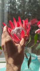Morning beauty routine with flowers documented in Chaikovsky