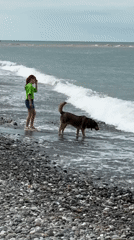 Families enjoy early morning beach time in Sochi
