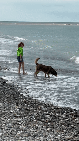 Families enjoy early morning beach time in Sochi
