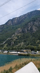 Mountain lake scenery and dog in pear structure captured
