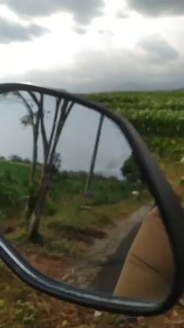 The video shows a rear-view mirror of a vehicle, reflecting a rural landscape. A person's arm and shoulder are visible in the lower right corner, holding what appears to be the steering mechanism of the vehicle. The mirror reflects a dirt road or path, lined with green foliage and a field of crops. A single tree stands near the road, and utility poles with wires are visible in the background. The sky is overcast. The camera is moving, as evidenced by the slight blur and the changing perspective of the reflection.