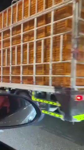 The video shows the back of a truck transporting multiple stacked cages. The cages appear to be made of light brown wood with narrow vertical bars. Within each cage, there are multiple pale, possibly white, birds. The truck's taillight is red, and there is a yellow and black hazard marking. A small section of a car can be seen in the foreground. The truck is dark and appears to be in motion.