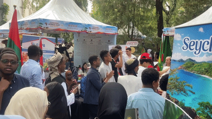 Africa Day cultural fair draws crowds in Beijing's Chaoyang District