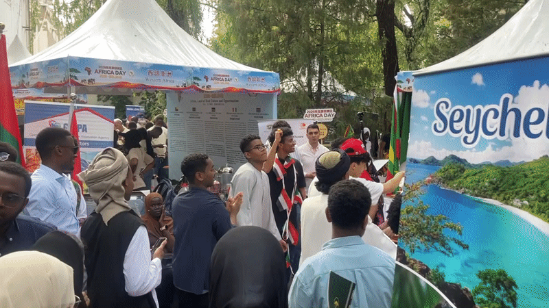 Africa Day cultural fair draws crowds in Beijing's Chaoyang District
