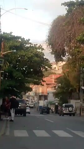 The video shows a street scene with buildings, trees, and vehicles. There are several people standing on the sidewalk and crossing the street. A black dog is also seen crossing the street. Overhead power lines and a street light are visible. The sky is overcast.
