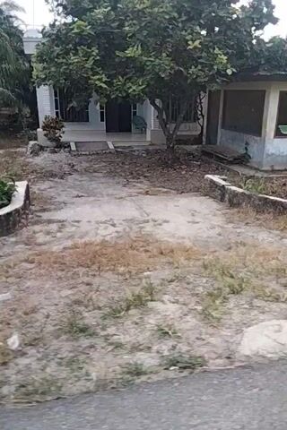 A video shows a narrow street with buildings on one side and a road on the other. The buildings appear to be shops or small houses, with green metal doors and corrugated metal roofs. There are also some trees and vegetation visible. The video is shaky and the camera is moving, suggesting it was filmed from a moving vehicle or by someone walking. There is no clear indication of what is happening in the video, other than it appears to be a view of a street in a populated area.