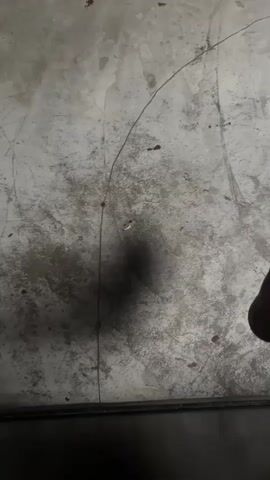 A close-up view of a concrete floor shows a dark shadow cast on the surface. Several small, reddish-brown stains are visible, along with a white object that appears to be a segment of an earthworm. A thin, dark line, possibly a crack or scratch, runs across the floor.