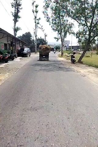 The video shows a flatbed truck carrying a very large load of hay or straw traveling down a paved road. The truck is black and has a license plate visible. The hay is piled high above the cab of the truck. The road is cracked and appears to be in disrepair in some sections. On the right side of the road, a person on a motorcycle is riding alongside the truck. On the left side of the road, there is a building with a dark-colored SUV parked in front of it. Tall trees with sparse foliage line both sides of the road. In the distance, there are buildings and what appears to be a body of water. The sky is overcast.