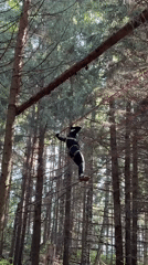 Forest adventure course underway in Sergino, Russia