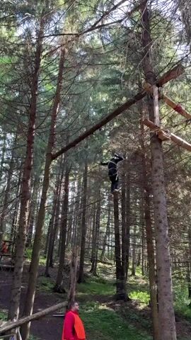 A person in a black outfit and helmet is traversing a ropes course high up among tall pine trees. The person is attached to a safety line and is shown in motion, stepping from one rope to another. The scene is set in a dense forest, with sunlight filtering through the canopy, suggesting it's daytime. The ground below is covered in green grass and fallen pine needles, and other wooden structures of the ropes course are visible. In the lower left corner, a person wearing a bright red jacket and orange vest is visible, possibly an instructor or guide. The overall impression is one of an outdoor adventure activity in a natural environment. No visible text.