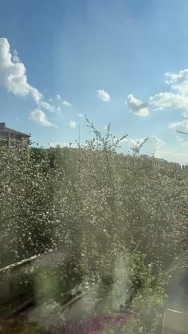 The video shows a view from a window, looking out at trees in full bloom. The blossoms appear white. Beyond the trees, buildings and a street lamp are visible against a backdrop of a blue sky with scattered white clouds. The window is slightly dirty, causing a hazy effect in the foreground. The sound of a siren can be heard.