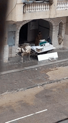Witnesses document widespread destruction and displacement in Khan Yunis