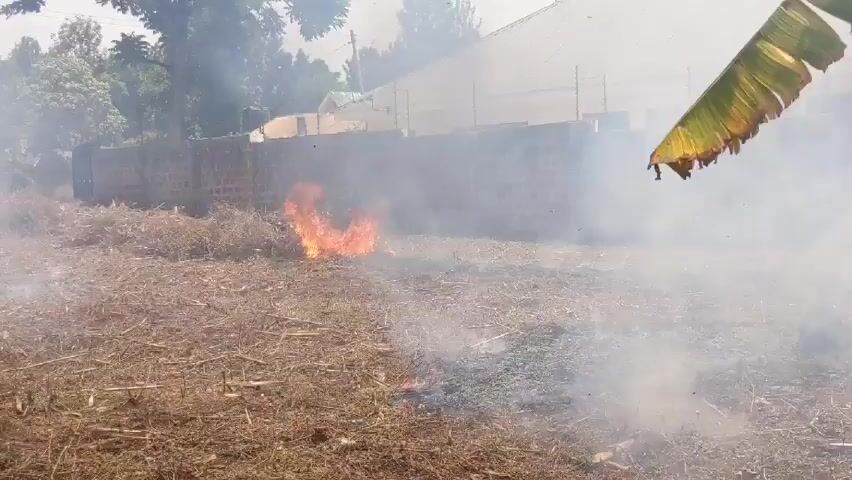 The video shows a small fire burning in a field of dry grass and brush. Smoke is rising from the fire and obscuring the background, which includes a brick wall topped with barbed wire and a building with a white roof. A banana leaf hangs in the upper right corner of the frame. The fire appears to be contained to a relatively small area, but the smoke is thick and widespread. The scene is filmed from a slightly low angle, with the camera positioned near the ground. There are no people visible in the video.