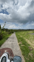 Scooter ride through rice fields recorded in rural Indonesia