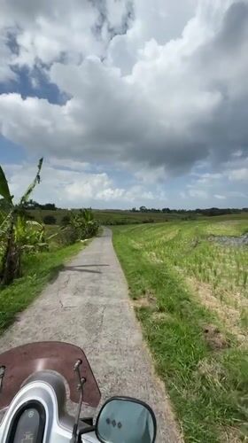 Scooter ride through rice fields recorded in rural Indonesia