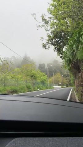 The video depicts a car driving on a road through a lush, green, mountainous landscape covered in fog. The road is paved and has white lane markings. There are trees and vegetation on both sides of the road, with some sections having stone walls. Utility poles and power lines are visible above the road. The fog obscures the view into the distance. The video is taken from the perspective of the driver inside the car, with the dashboard visible in the foreground. The overall lighting is dim due to the foggy conditions.