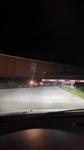 From the perspective of inside a vehicle, a train is crossing the road at night. The red and white railroad crossing bar is down, illuminated by the vehicle’s headlights. A mix of brown and white train cars are passing, their shapes blurred by the movement. It’s dark, and the sky is only faintly visible. There’s some green foliage visible on the right side of the frame, growing close to the crossing.