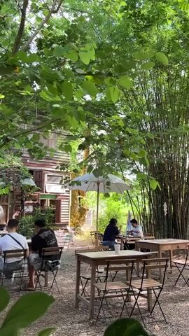 The scene shows an outdoor cafe in a lush garden setting. Several people are seated at wooden tables, some under a large white umbrella, while others are positioned closer to the exterior of a wooden building. Bamboo stalks are prominent on the right side of the frame. The ground is covered with small stones or gravel. The camera is static and the light is bright.
