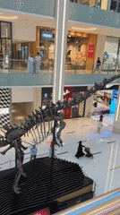 Regular shopping day captured at Dubai Mall attractions