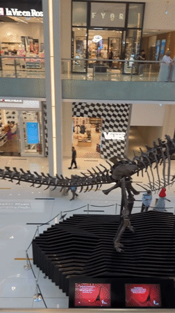 Regular shopping day captured at Dubai Mall attractions