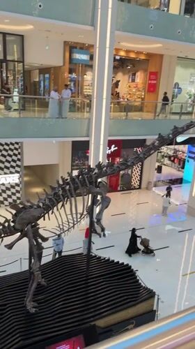 Regular shopping day captured at Dubai Mall attractions