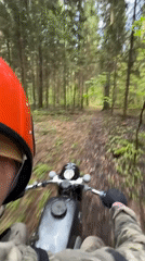 Motorcyclist rides through forest near flower field in Belarus