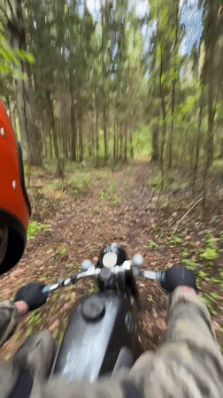 Motorcyclist rides through forest near flower field in Belarus