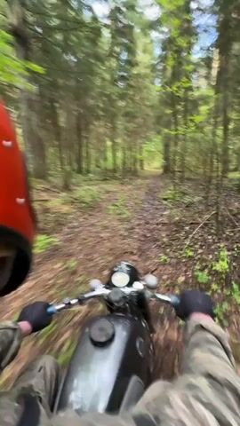 A person rides a gray motorcycle down a dirt path through a forest. The rider wears a red helmet, a camouflage patterned jacket, and black gloves. The path is covered in fallen leaves and the forest is dense with tall trees. The view is from the rider's perspective.