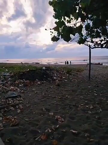 A wide shot of a beach at sunset. In the foreground, dark sand is littered with fallen leaves and debris. To the left, a pile of trash is visible. A single tree with green leaves stands on the right side of the frame, casting a shadow on the sand. In the background, the ocean meets the sky, with the sun setting on the horizon. A few people are standing near the water, and a small boat is docked on the right. The sky is filled with dramatic, cloudy formations.