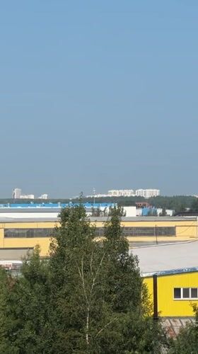 Birch trees, industrial skyline, and a slogan tee in Yekaterinburg