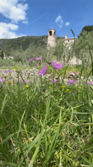 Monk tends garden with power tools in Montenegro