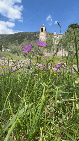 Monk tends garden with power tools in Montenegro