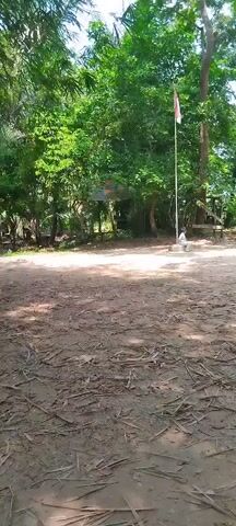 The video shows a dirt ground covered with dry leaves and branches. In the background, there are trees and a flagpole with a flag. A person is standing near the flagpole. The lighting suggests it is daytime.