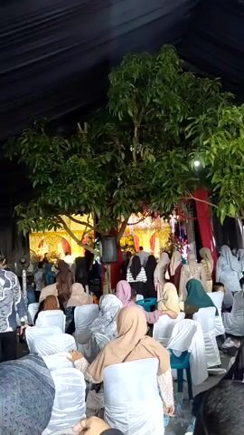 The video shows a view from the back of a wedding reception.  People are seated on white plastic chairs facing the wedding platform, which is decorated with gold and red fabric.  Most people are wearing hijabs. A large tree with green leaves is positioned in the middle of the reception area. A black tent canopy is above. Some guests are walking toward the wedding platform. One person is carrying a plate of food. A fan is visible on the left.
