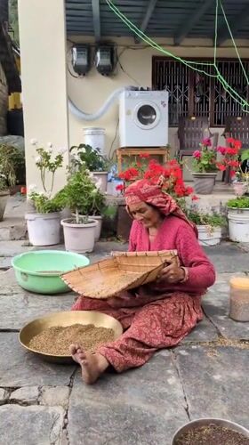 Daily life documented in Dharamkot and Bhagsu villages